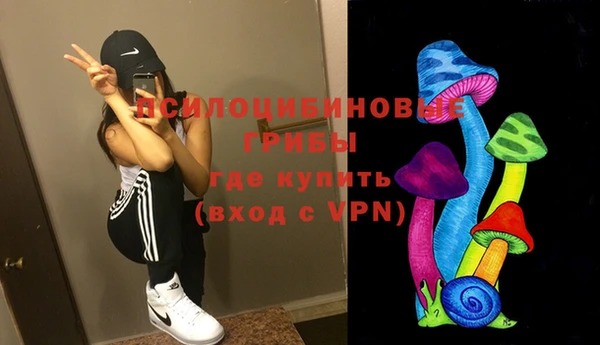 МДПВ Киреевск