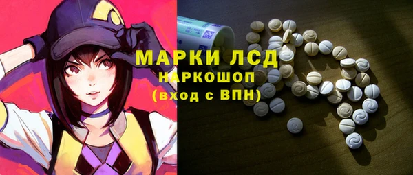 spice Кодинск