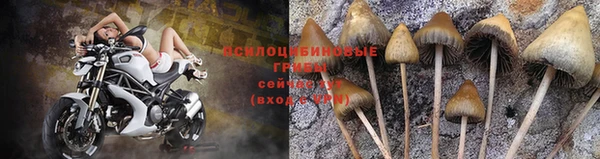 крисы Киренск