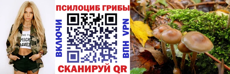 Псилоцибиновые грибы ЛСД Купить закладки Алатырь